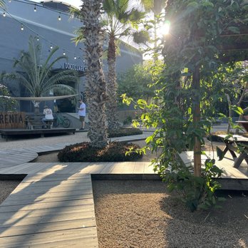 Doce Cuarenta - Outdoor seating area - Coffee & Tea Near Me - Todos Santos, BCS