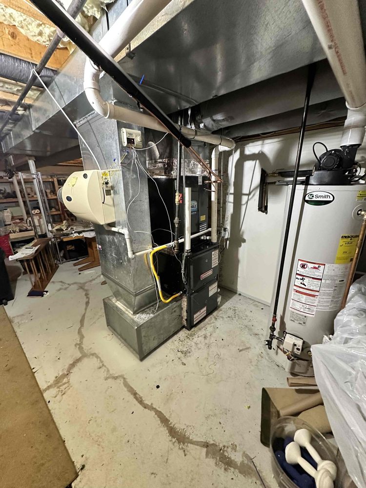 Slide of Call The Whale