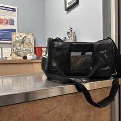 Quiet Waters Animal Hospital