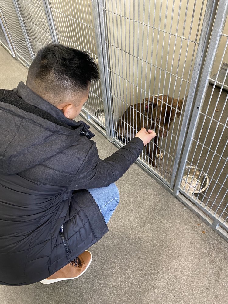 PRINCE ANIMAL SERVICES FACILITY 32 Photos & 36 Reviews