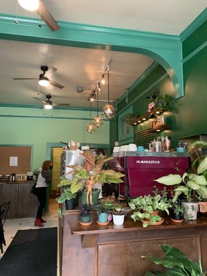 Undergrowth Coffee by null