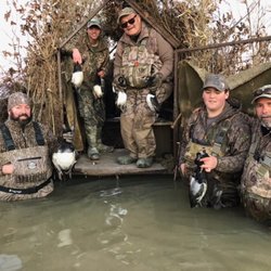 Ducks n Dogs