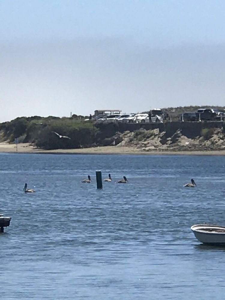 ELKHORN YACHT CLUB 22 Photos 2370 Hwy One, Moss Landing, CA Yelp