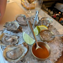 Oysters Oysters