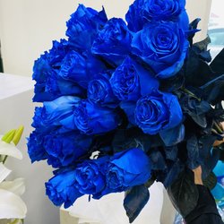 Primavera Florist