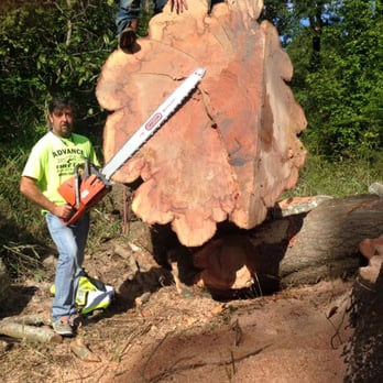 Advance Tree Care - Tree Services Near Me - Jackson, Mississippi