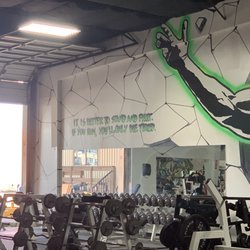 Species Gym - Inside the gym