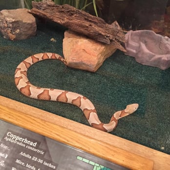 Sequoyah State Park - Snakes too! - Parks Near Me - Hulbert, Oklahoma