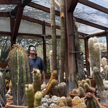 Bach's Cactus Nursery - Nurseries & Gardening Near Me - Tucson, Arizona