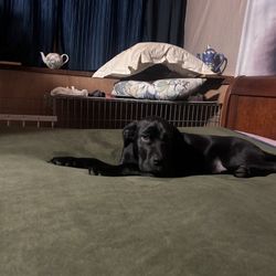 My girl 7 months old
