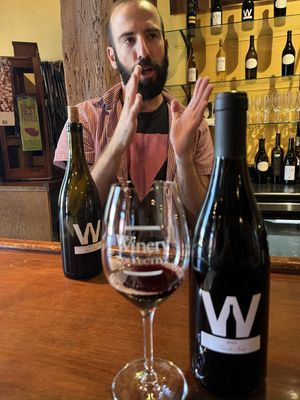 Winery Collective by null