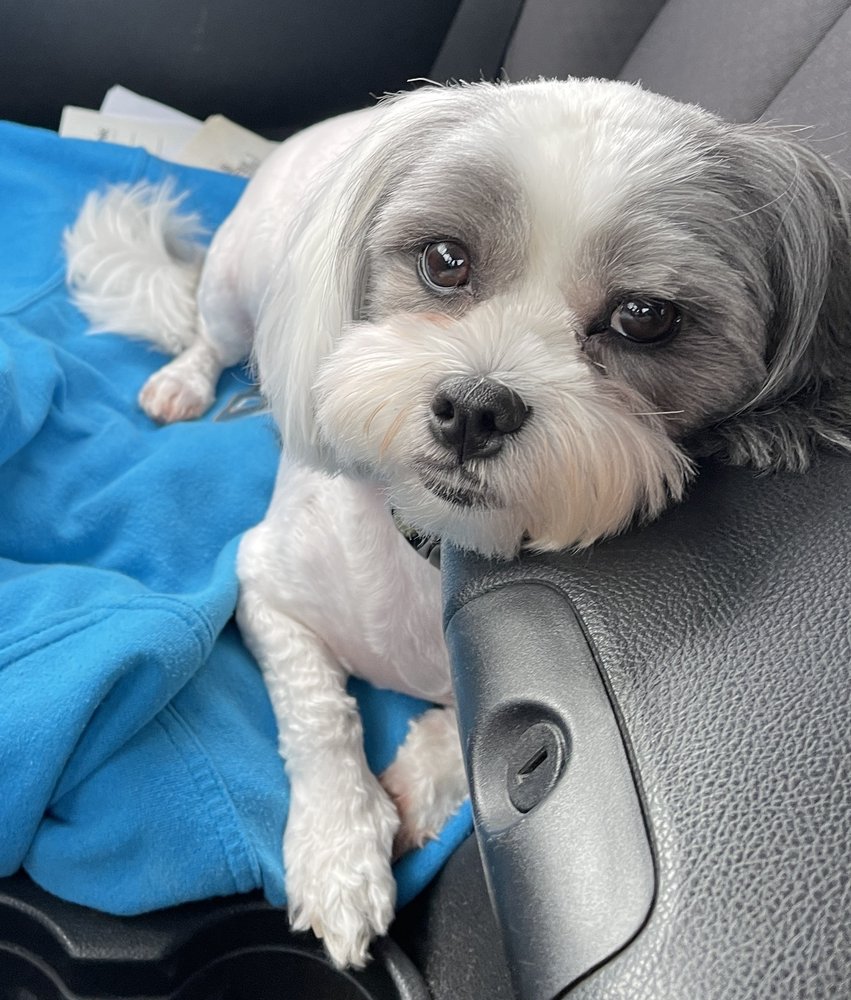 PETCO 15 Photos & 18 Reviews 7615 Harford Rd, Parkville, Maryland