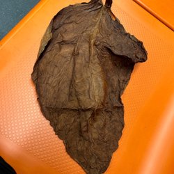 City smoke shop - Molded fronto