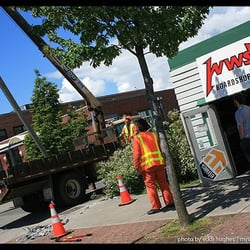 WWS Boardshop - Greyhound Bus ran into light pole!
