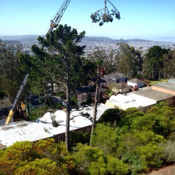 Arbortech Tree Care - Very impressive, taking down extremely tall tree on a hill. Road crew and others were all top notch. - Tree Services Near Me - Hayward, California