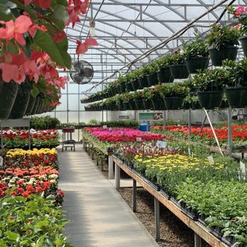 Sunnyside Greenhouses - Spring at the greenhouse! Great assortment of plants April through June - Nurseries & Gardening Near Me - Greenfield, Indiana Sunnyside Greenhouses - Spring at the greenhouse! Great assortment of plants April through June - Nurseries & Gardening Near Me - Greenfield, Indiana