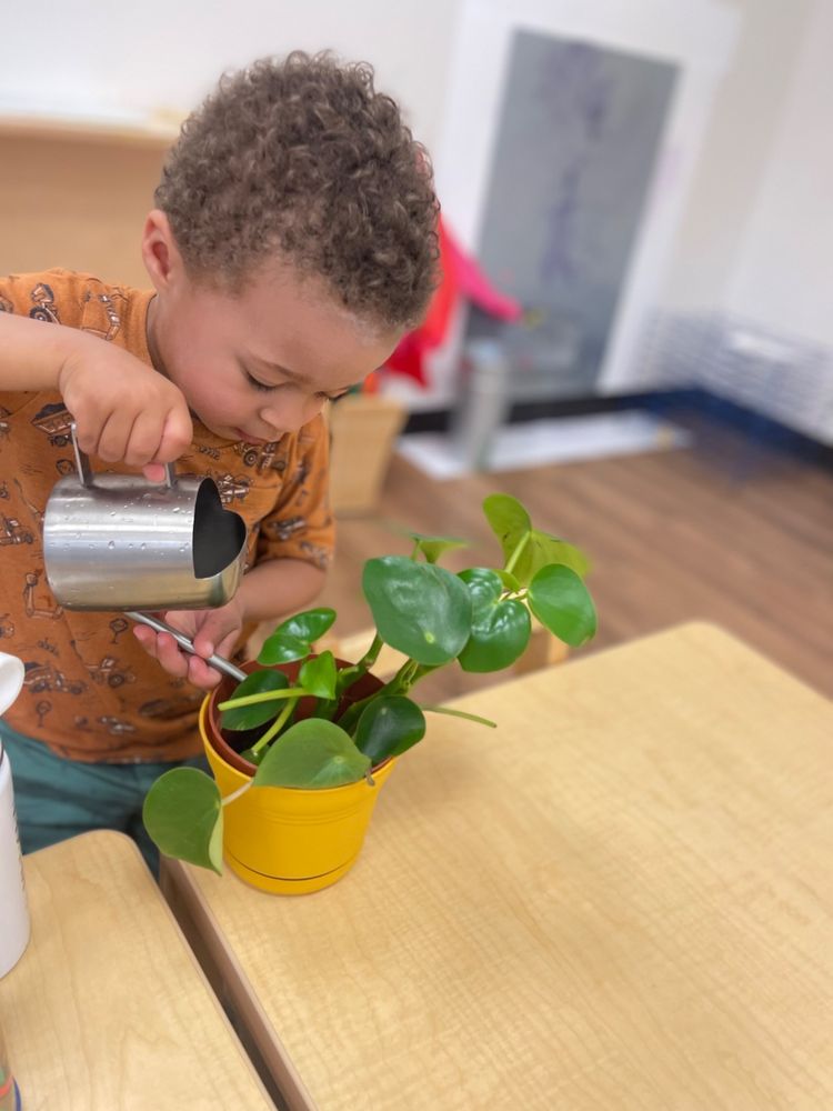 Guidepost Montessori at Laurel Oak - childcare center in Voorhees Township, NJ