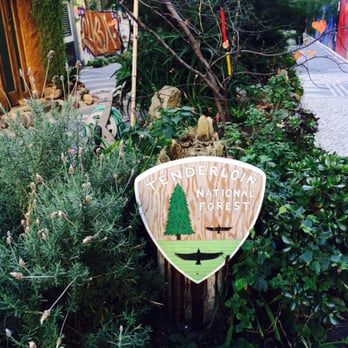 Tenderloin National Forest - It's True! - Public Art Near Me - San Francisco, California