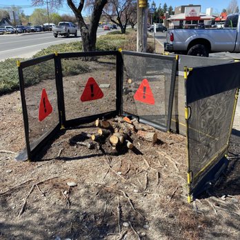 Beaver Tooth Stump Grinding - Tree Services Near Me Beaver Tooth Stump Grinding - Tree Services Near Me