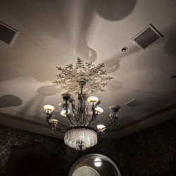 Phantom Manor