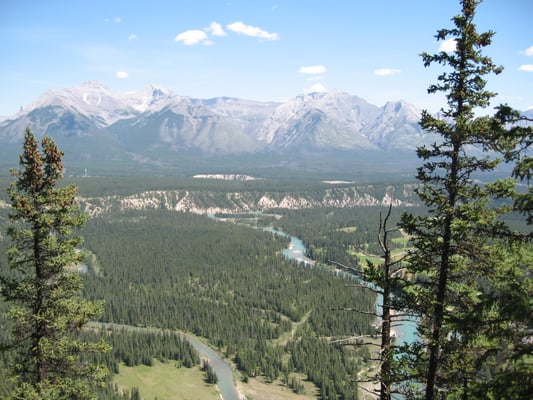Tunnel Mountain Trail by null