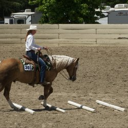 River Road Stables - Megan's golden horse is steady and confident over the poles.