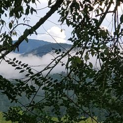 City of Hiawassee - Hiawassee, morning view from Highway 75 toward Helen, GA.