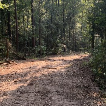 Speedy Land Clearing and Management - Created a beautiful fire break around 40 acres. - Tree Services Near Me - Jay, Florida