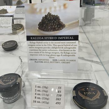 Pava Caviar Shop - Kaluga hybrid caviar - Imported Food Near Me - Studio City, California Pava Caviar Shop - Kaluga hybrid caviar - Imported Food Near Me - Studio City, California
