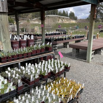 Smart Gardens - a variety of plants for sale - Nurseries & Gardening Near Me - Spokane, Washington Smart Gardens - a variety of plants for sale - Nurseries & Gardening Near Me - Spokane, Washington