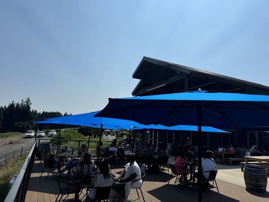 Hawks View Winery by null