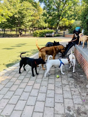 Photo of Schuylkill River Dog Run - Philadelphia, PA, US. Seating