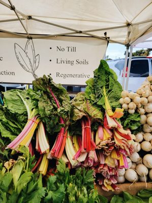 Leucadia Farmers Market by null