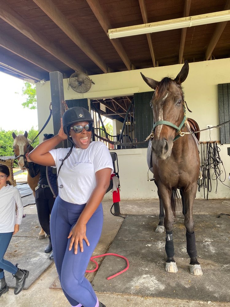 Elysian Stables Miami - equestrian in Miami, FL