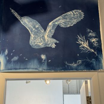 Firehouse Art Center - Cyanotype owl - Art Galleries Near Me - Longmont, Colorado