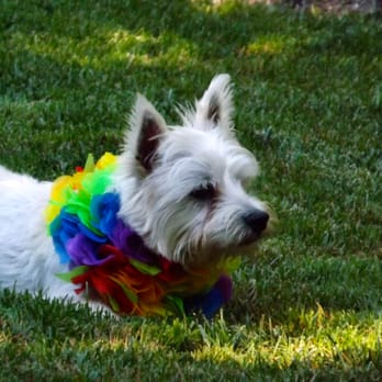 Fetch! Pet Care - Wonderful situation we found with easy access on and off freeway too! - Pet Sitting Near Me