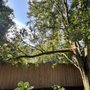 McCullough's Tree Service