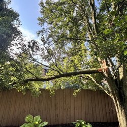 McCullough's Tree Service
