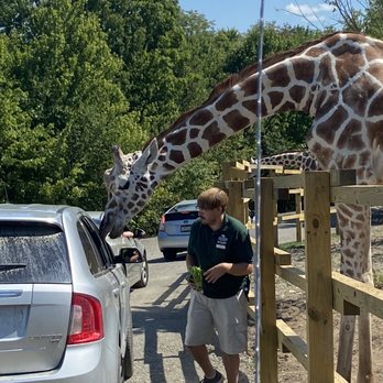 The Preserve - Petting Zoos Near Me - Harpursville, New York