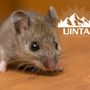 Photo of Uinta Pest Solutions