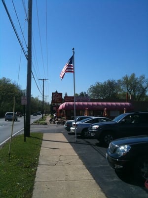 Paradise Pup by null