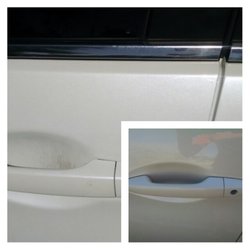 Bulldog Detail