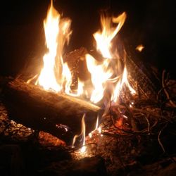 Lake Taneycomo - We ALL love the fire pit and enjoyed each others company just talking or chilling out!  But then again, who doesn't like a fire?!
