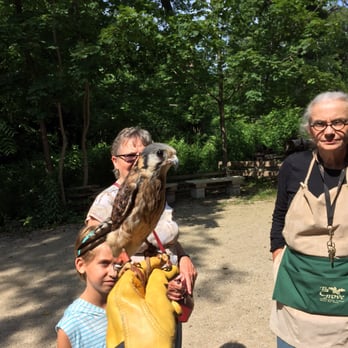 The Grove - Sparrow hawk - Landmarks & Historical Buildings Near Me - Glenview, Illinois