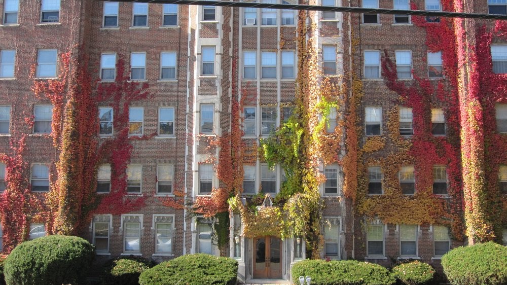 BELLEAYRE APARTMENTS Updated August 2024 10 Photos 700 Stewart