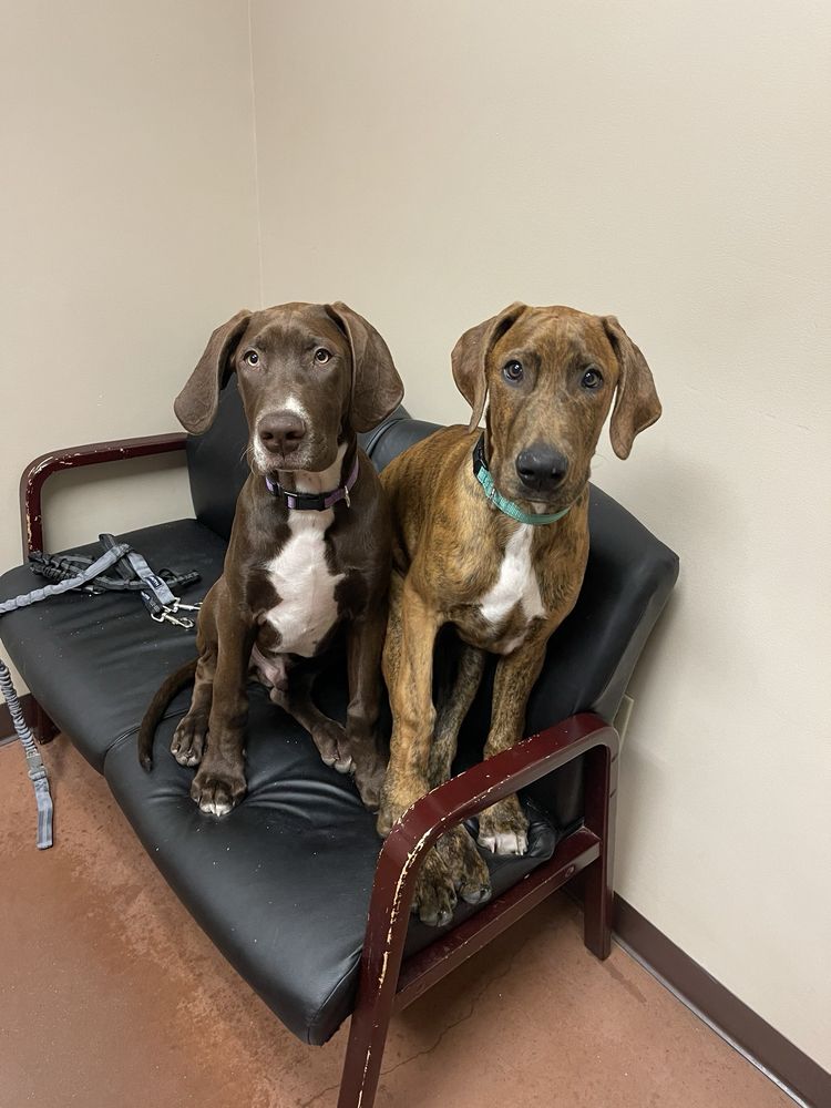 VETERINARY HOSPITAL Updated October 2024 44 Photos & 144