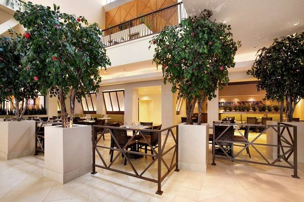 Hilton Stockton by null