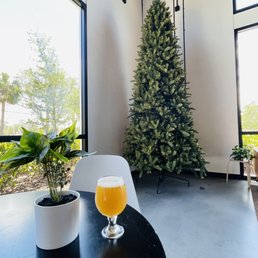 Ok, the Christmas tree was the best view in June! Hilarious. Ok, the Christmas tree was the best view in June! Hilarious.
