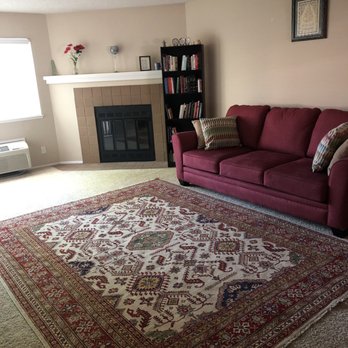 Istanbul Rug - The rug in my living room - Rugs Near Me - Berkeley, California