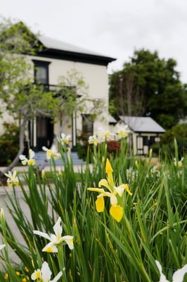 Harris Lass House Museum by null